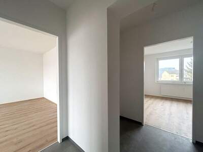 Wohnung mieten in 4224 Wartberg (Bild 4)