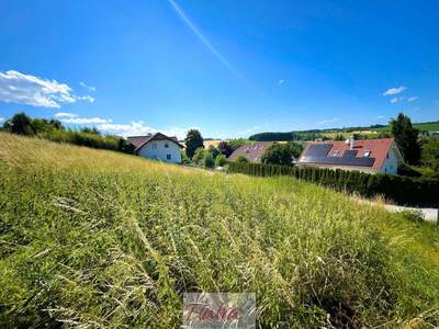 Grundstück kaufen in 4616 Weyerbach (Bild 5)