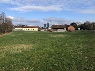 Gewerbeobjekt kaufen in 4760 Raab (Bild 3)