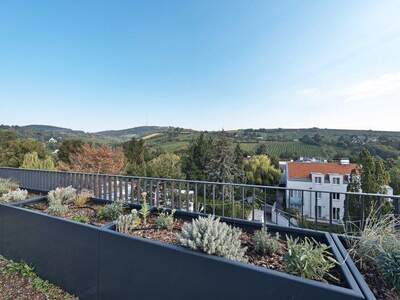 Terrassenwohnung kaufen in 1190 Wien (Bild 3)