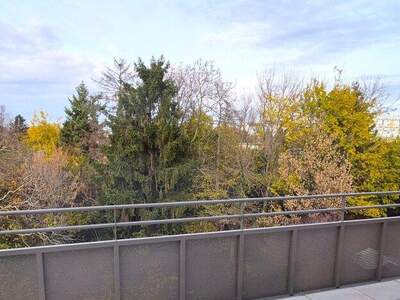 Terrassenwohnung kaufen in 1210 Wien (Bild 3)