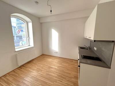 Altbauwohnung mieten in 4040 Linz (Bild 1)