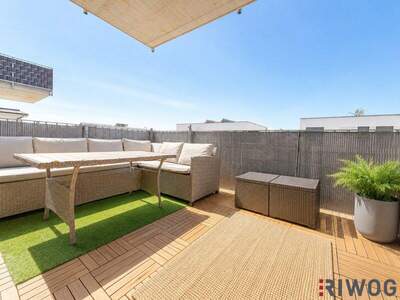 Terrassenwohnung kaufen in 2231 Strasshof (Bild 1)