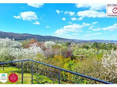 Haus kaufen in 2340 Mödling