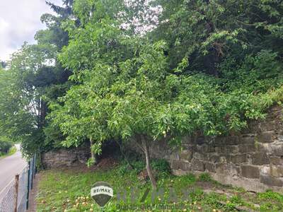 Grundstück kaufen in 3160 Traisen (Bild 1)