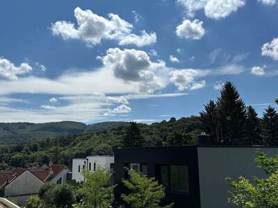 Grundstück provisionsfrei kaufen in 3400 Weidling