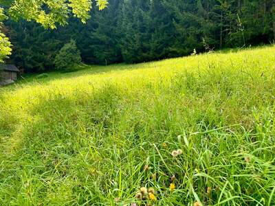 Grundstück kaufen in 8962 Gröbming (Bild 1)