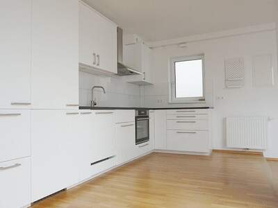 Altbauwohnung mieten in 1060 Wien (Bild 2)