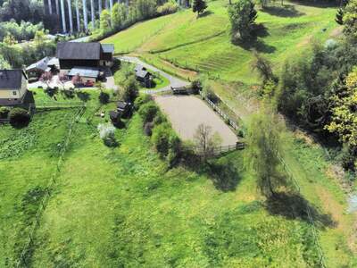 Gewerbeobjekt kaufen in 9433 Burgstall