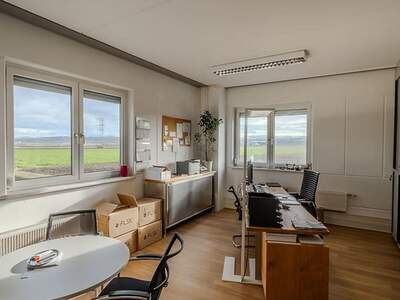 Gewerbeobjekt mieten in 3382 Loosdorf (Bild 2)