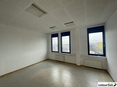 Gewerbeobjekt mieten in 1230 Wien (Bild 5)