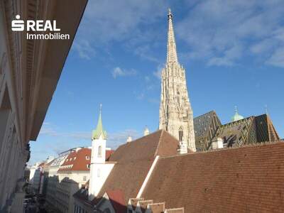 Terrassenwohnung mieten in 1010 Wien (Bild 1)