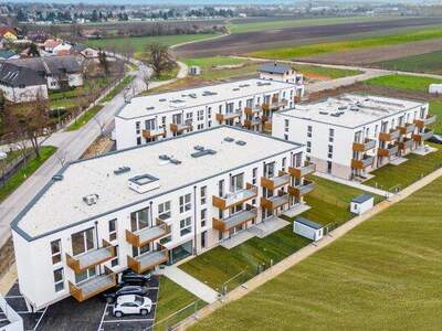 Terrassenwohnung mieten in 2201 Gerasdorf (Bild 1)