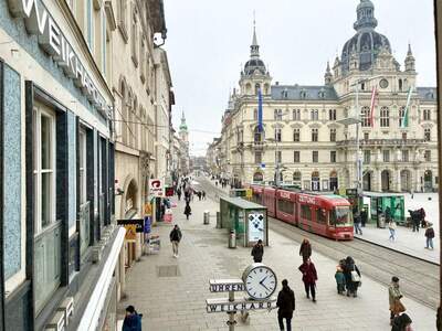 Gewerbeobjekt mieten in 8010 Graz (Bild 4)