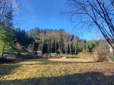 Grundstück kaufen in 4180 Saumstraß (Bild 3)