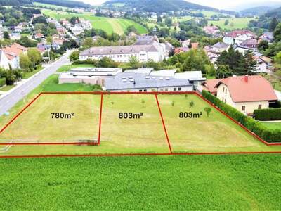 Grundstück kaufen in 2733 Grünbach