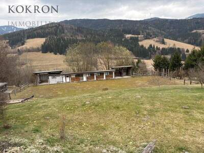 Haus kaufen in 8684 Spital (Bild 2)