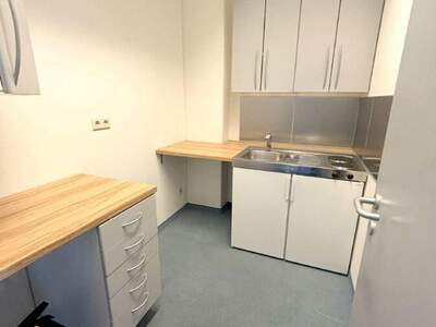 Gewerbeobjekt mieten in 2351 Wiener Neudorf (Bild 3)