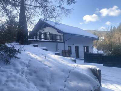 Haus kaufen in 8685 Steinhaus (Bild 3)