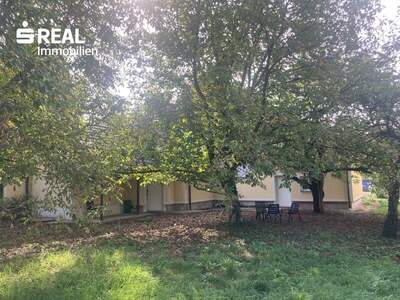 Mehrfamilienhaus kaufen in 3300 Amstetten (Bild 5)