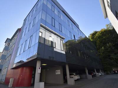 Gewerbeobjekt mieten in 4020 Linz (Bild 1)