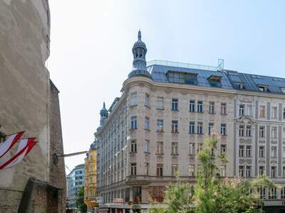 Gewerbeobjekt mieten in 1010 Wien (Bild 1)