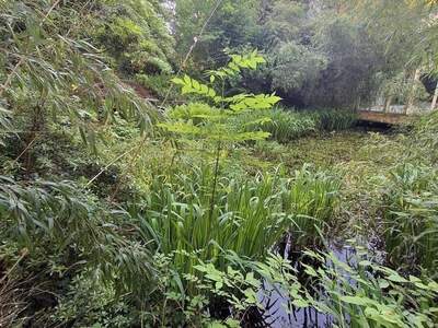 Haus kaufen in 8200 Gleisdorf