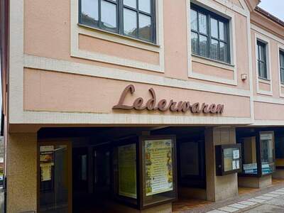 Haus kaufen in 3270 Scheibbs