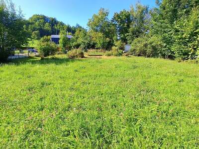 Grundstück kaufen in 4701 Bad Schallerbach