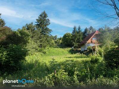 Grundstück kaufen in 2102 Hagenbrunn (Bild 1)