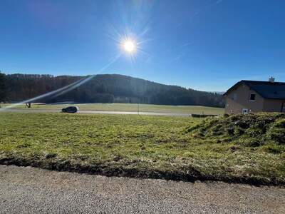 Grundstück kaufen in 8200 Albersdorf