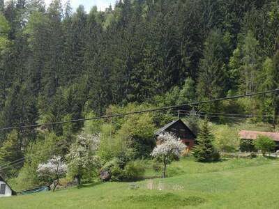 Einfamilienhaus provisionsfrei kaufen in 9413 St. Gertraud
