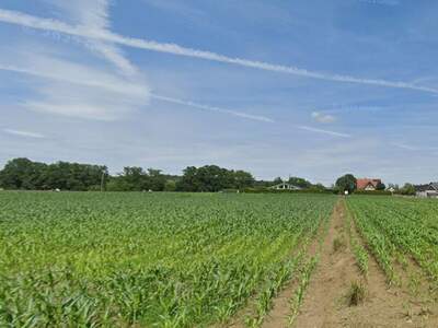 Haus kaufen in 8483 Deutsch Goritz (Bild 5)