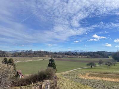 Haus mit Garten kaufen in 8523 Hagenbuch (Bild 1)