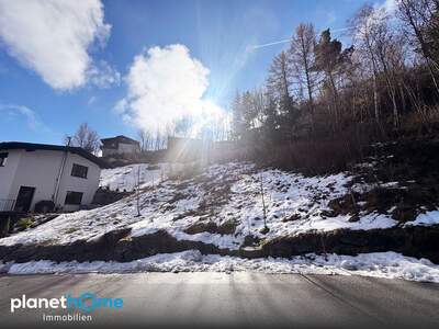 Grundstück kaufen in 6143 Schönberg (Bild 3)