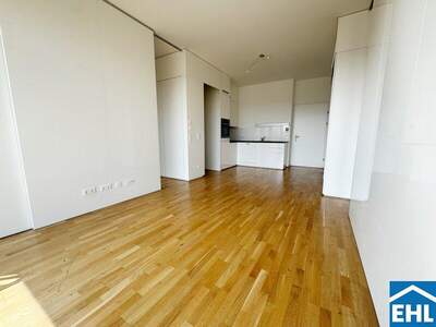 Terrassenwohnung mieten in 1030 Wien (Bild 2)