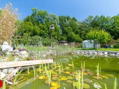 Einfamilienhaus kaufen in 2440 Gramatneusiedl (Bild 4)