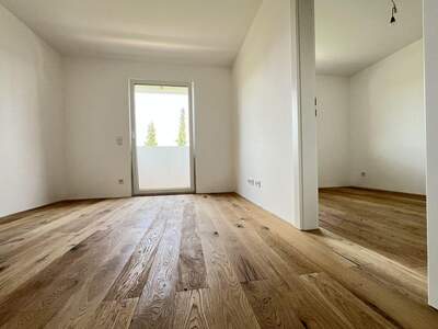 Anlageobjekt kaufen in 4651 Stadl (Bild 3)