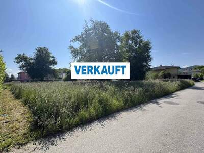 Grundstück kaufen in 6973 Höchst