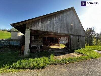 Grundstück kaufen in 8463 Fötschach (Bild 4)