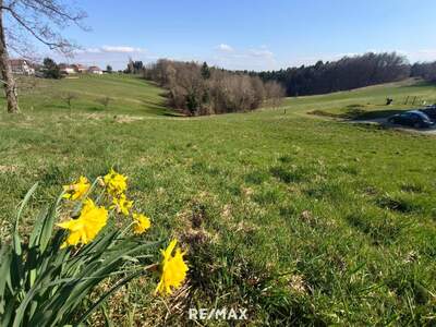 Grundstück kaufen in 8062 Hart