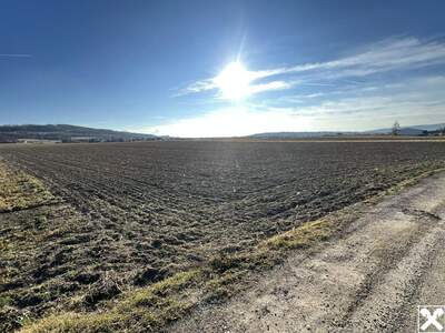 Gewerbeobjekt kaufen in 3380 Pöchlarn