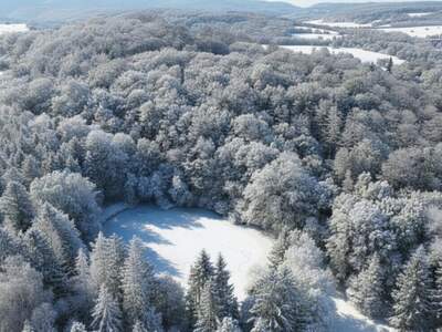 Haus kaufen in 2393 Sittendorf