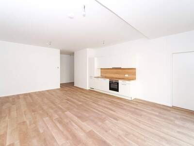 Mietwohnung in 3451 Pixendorf