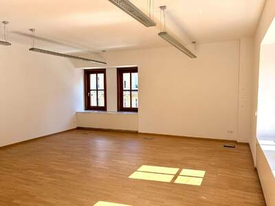 Gewerbeobjekt mieten in 1010 Wien (Bild 2)