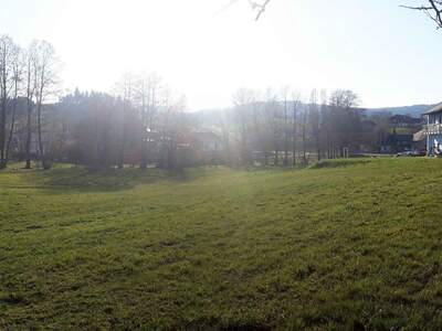 Wohnung kaufen in 4134 Putzleinsdorf (Bild 2)