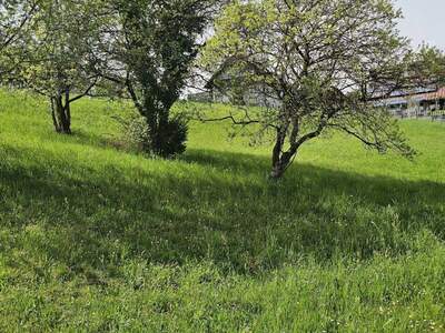 Grundstück kaufen in 8112 Gratwein (Bild 1)