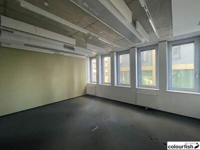 Gewerbeobjekt mieten in 1030 Wien (Bild 5)