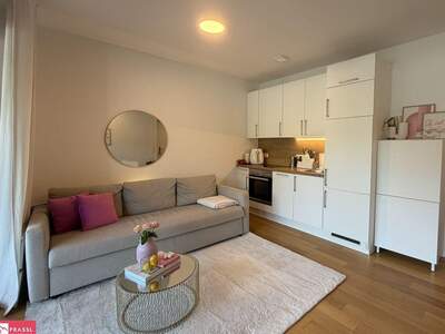Wohnung mit Balkon mieten in 8010 Graz (Bild 3)