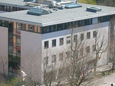 Gewerbeobjekt kaufen in 4600 Wels
